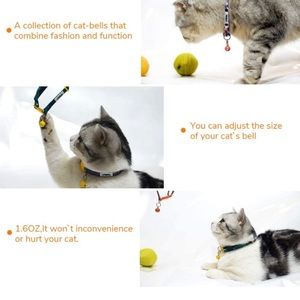 Cat / Small Dog Collar